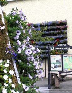 drumshanbo-flowers-waterfal