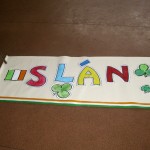 slan-banner