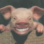 smiley-swine One of the many Pig Executives