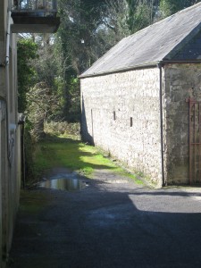alley-by-the-shop