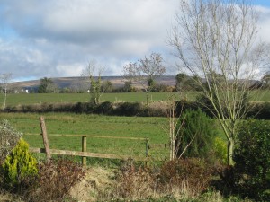 img_0432