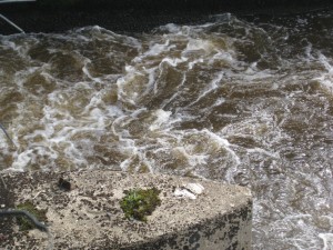 img_0708 img_0708