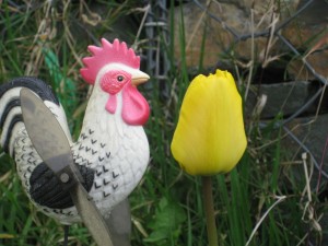 img_0716 img_0716