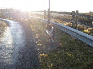 a-walk-on-a-sunny-winters-day