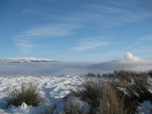 Above the freezy fog cloud in the Agrina Mountain