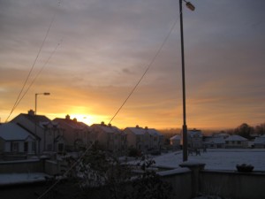 img_1767