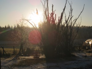 In the Bleak Mid Winter