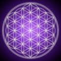flower-of-life flower-of-life