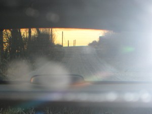 IMG_1887