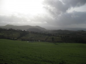 IMG_2059