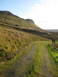 the path back