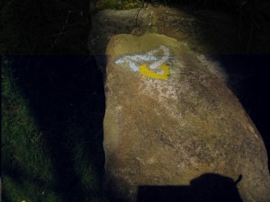 March Pictures 020