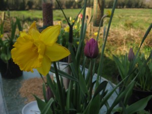 March Pictures 157